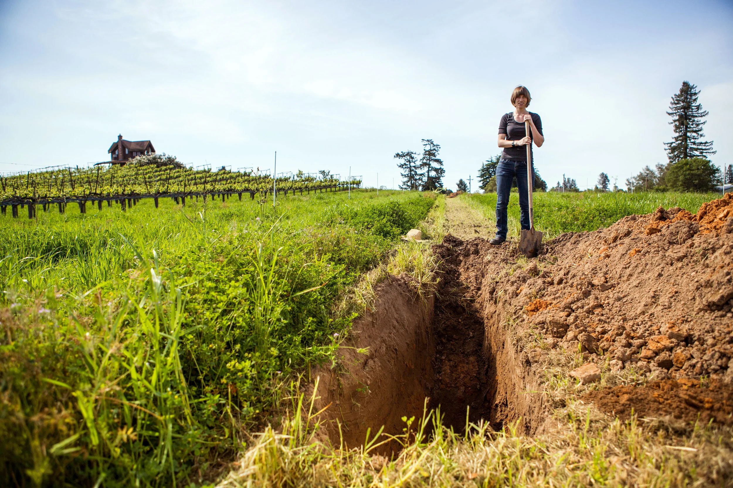 Woman with short hair digging a trench or hole with a shovel in a grassy field while wearing casual clothing. Vineyard and park house in the background under a clear blue sky.