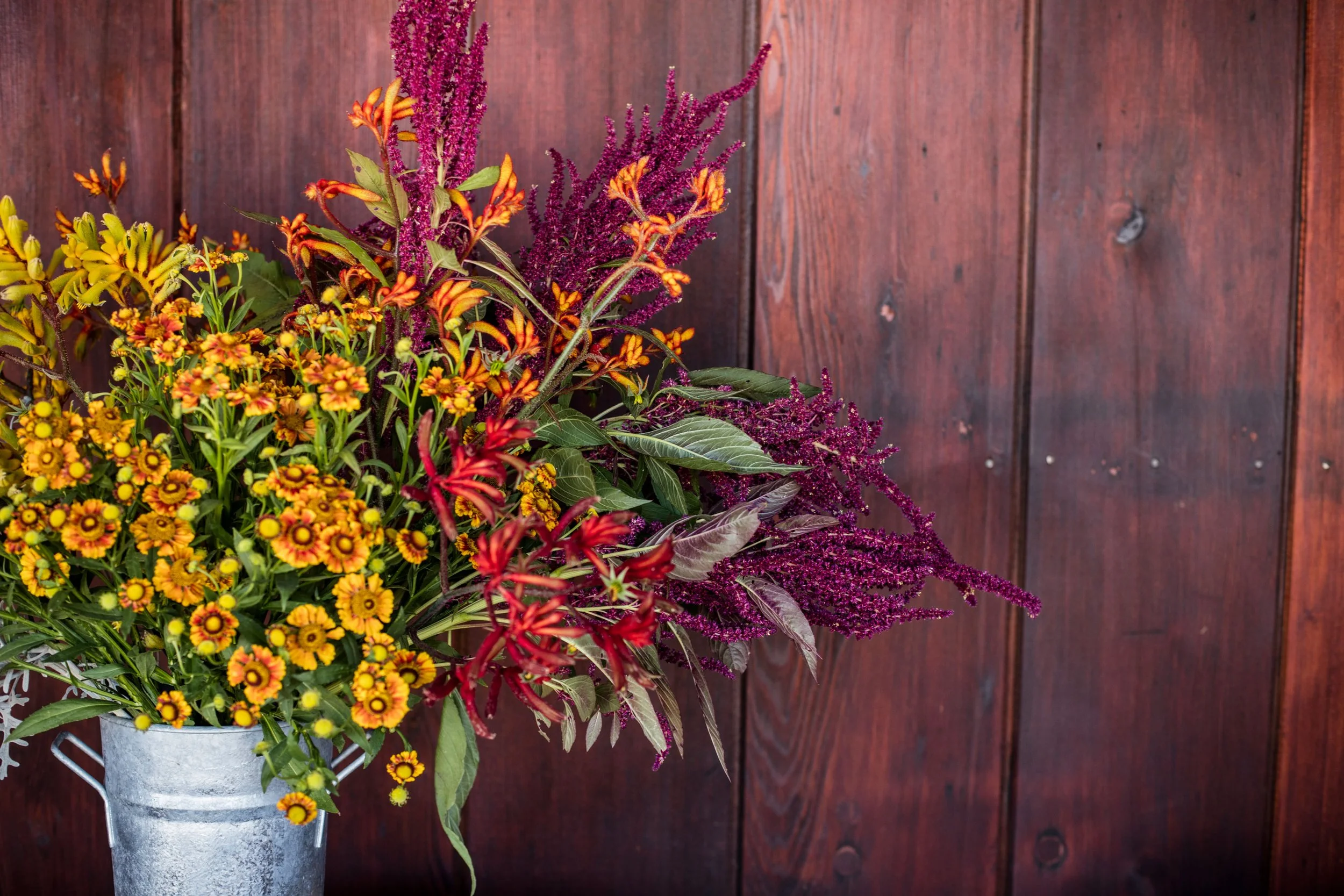 A bouquet of colorful flowers including yellow, orange, and purple blooms in a silver bucket against a wooden background.