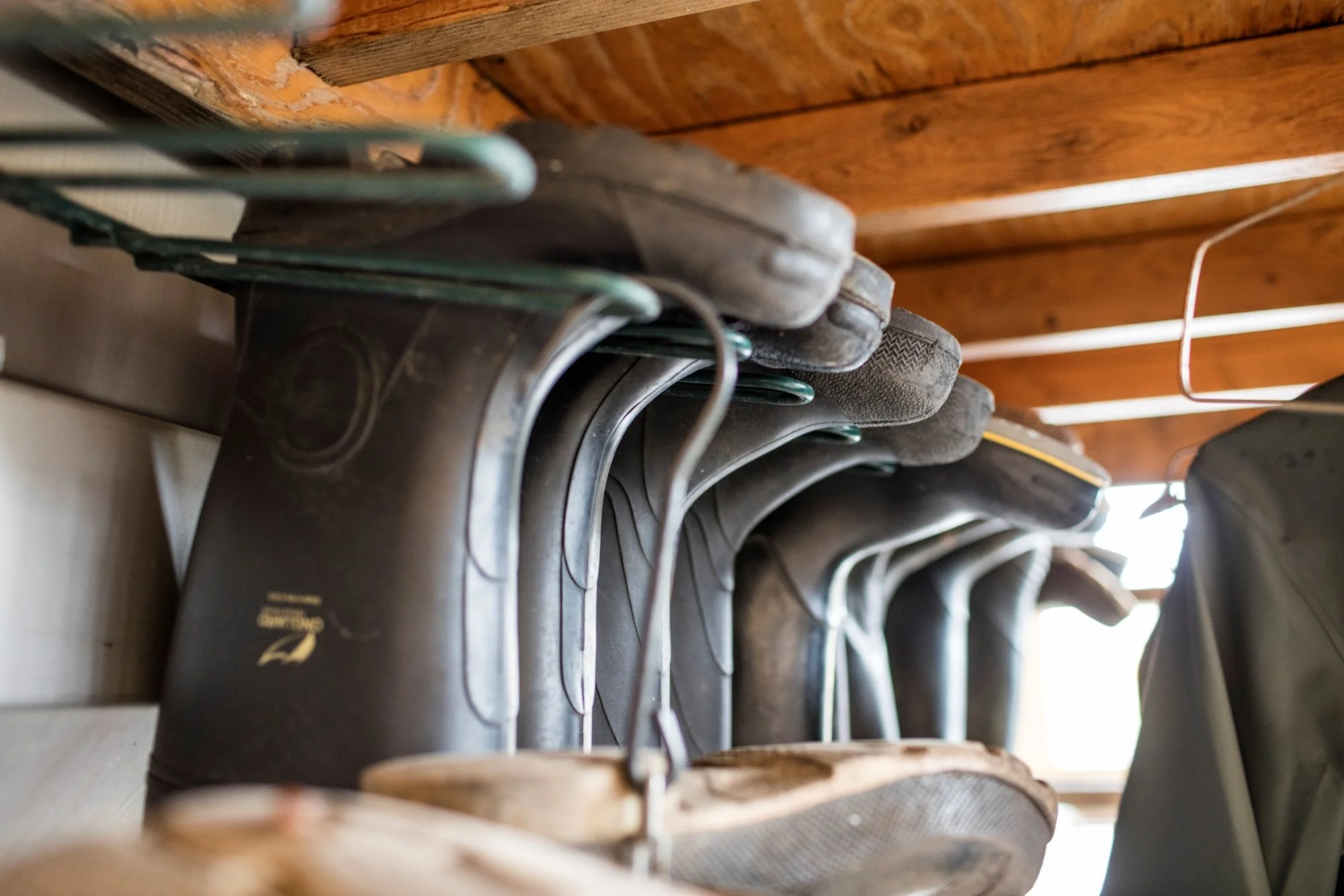 Row of old worn climbing shoes on a shelf with wooden ceiling above.