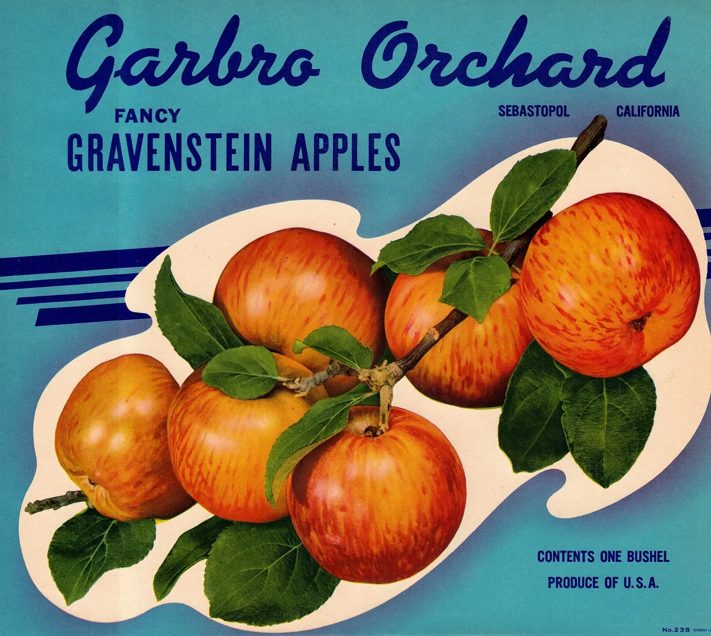 A vintage print design for Gabbro Orchard featuring a branch of five red and yellow apples with green leaves on a blue background. Text includes 'Gabbro Orchard,' 'Fancy Gravenstein Apples,' 'Sebastopol California,' and 'Contents One Bushel, Produce of U.S.A.'