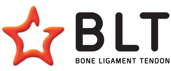Bone Ligament Tendon