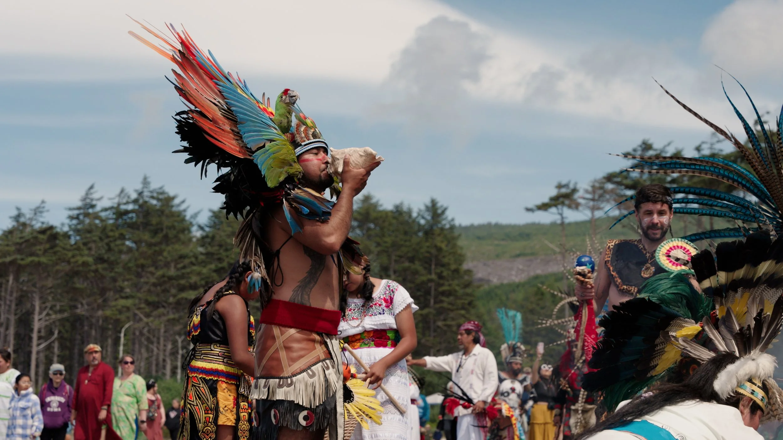 Consejo Hispano Thumbnail 1.jpg