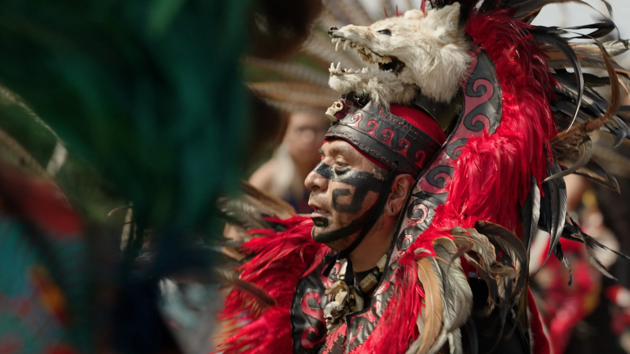 Consejo Hispano Thumbnail 2.jpg