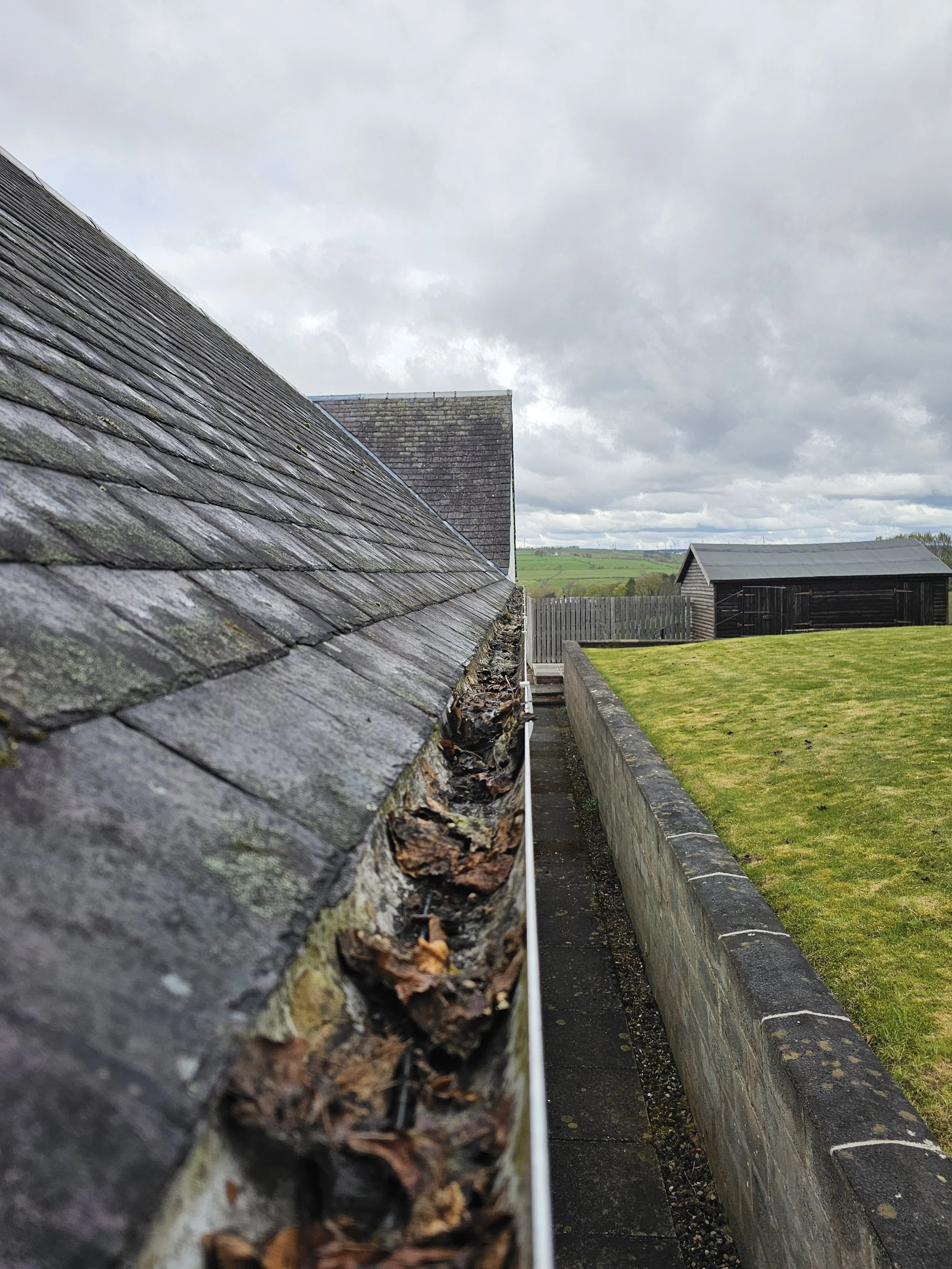 Close-up of a weathered roof ledge with moss and debris, with a view of a yard, a wooden fence, and a cloudy sky in the background.