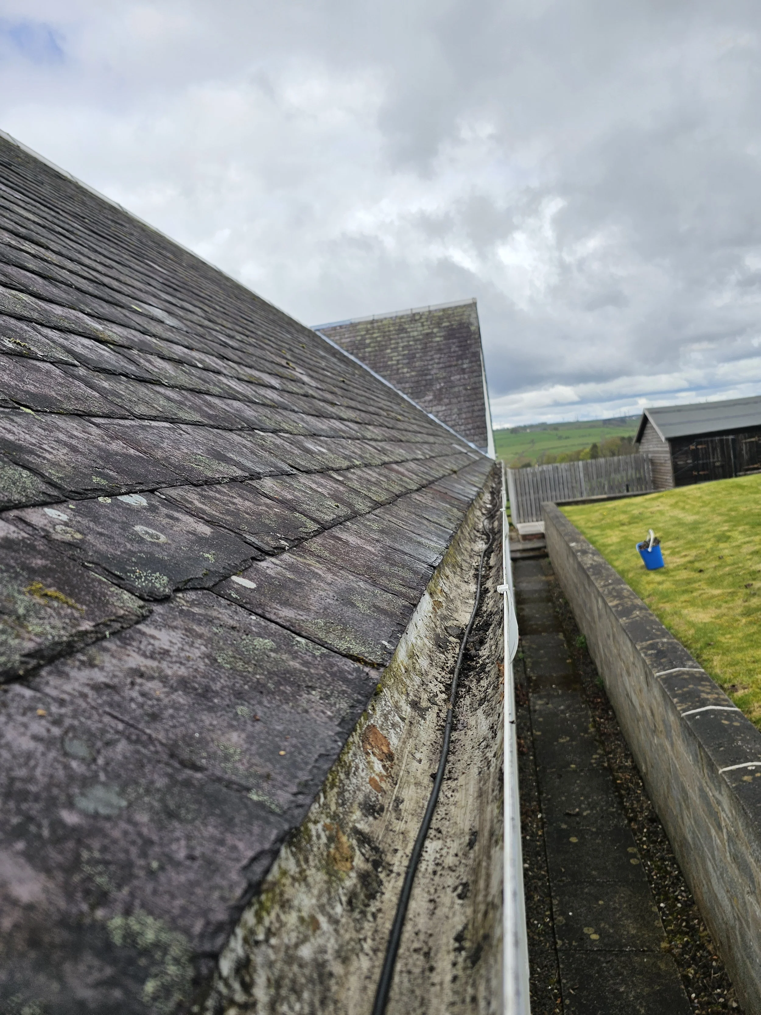 Close-up of a weathered, moss-covered rooftop with a black cable running along the edge, a fenced backyard with a blue bucket on the grass, and cloudy sky in the background.