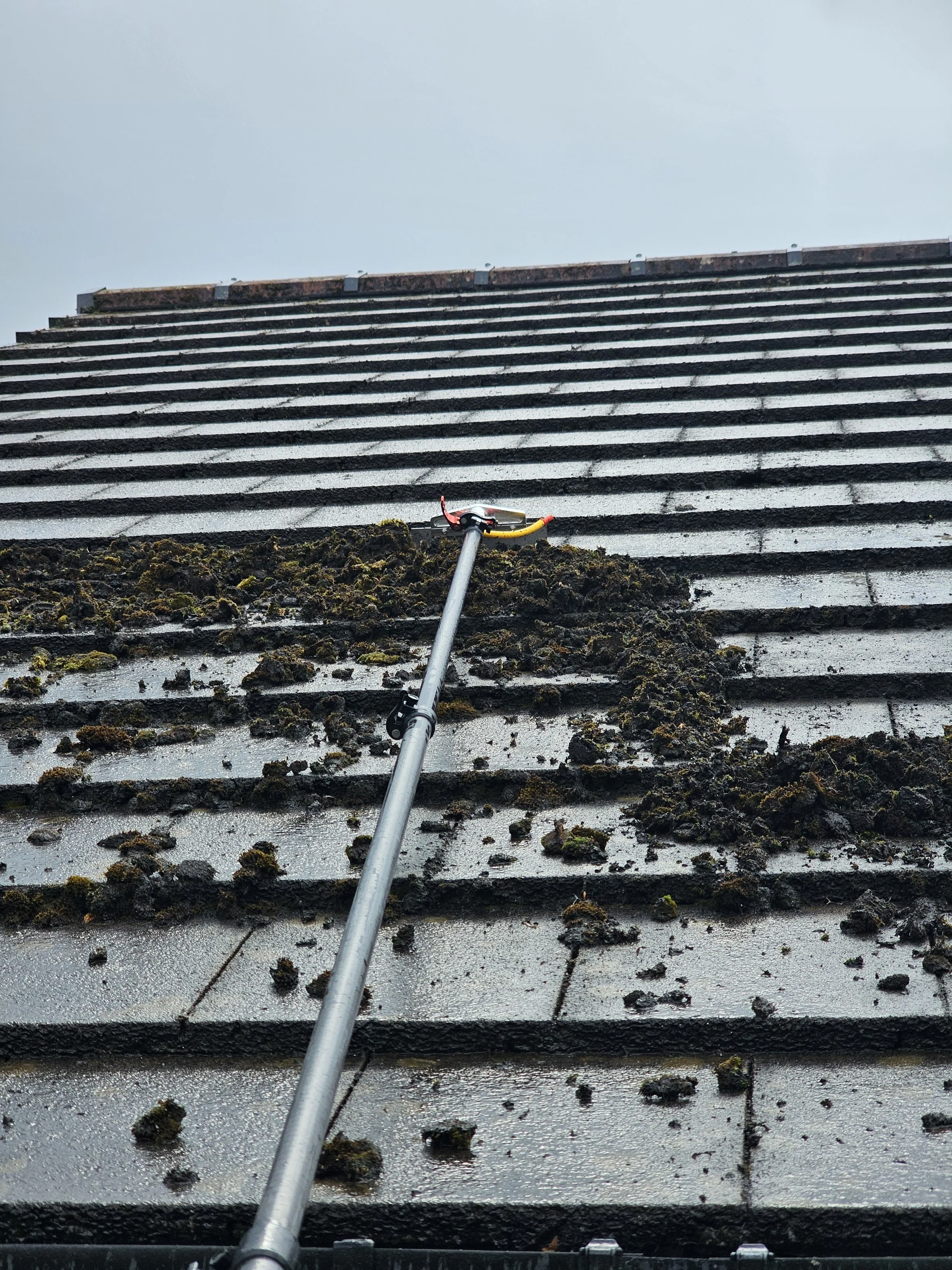 A roof with horizontal dark gray shingles covered in moss and dirt, with a pole extending from the bottom up the roof.