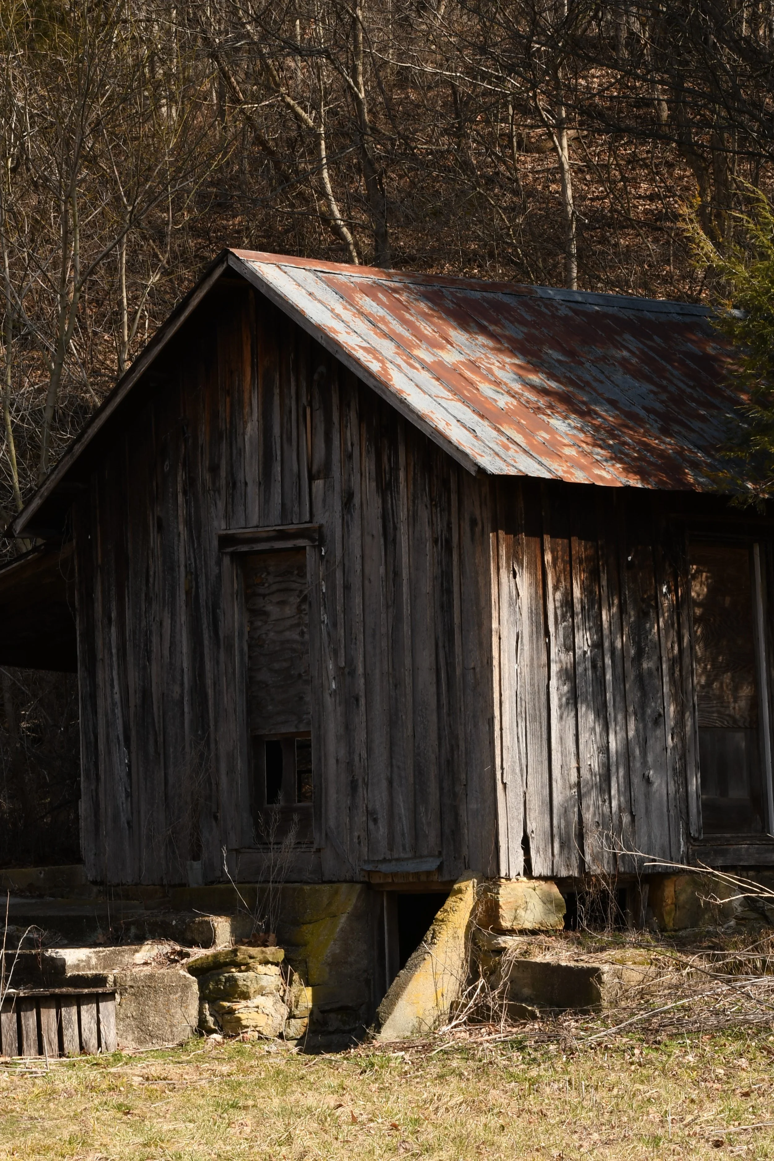 An old, weathered wooden house with a rusty, corrugated metal roof, situated on a slight elevation with stone steps and surrounded by leafless trees and dry grass.