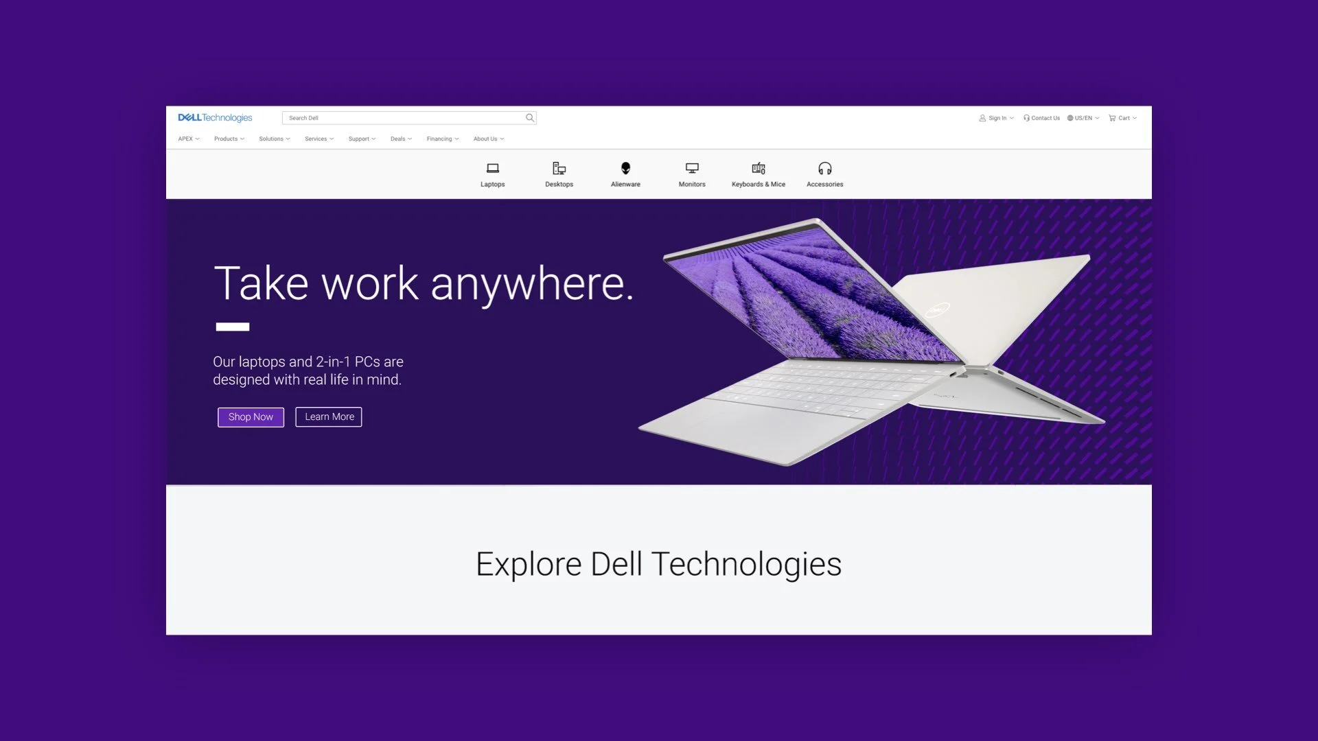 dell5.jpeg