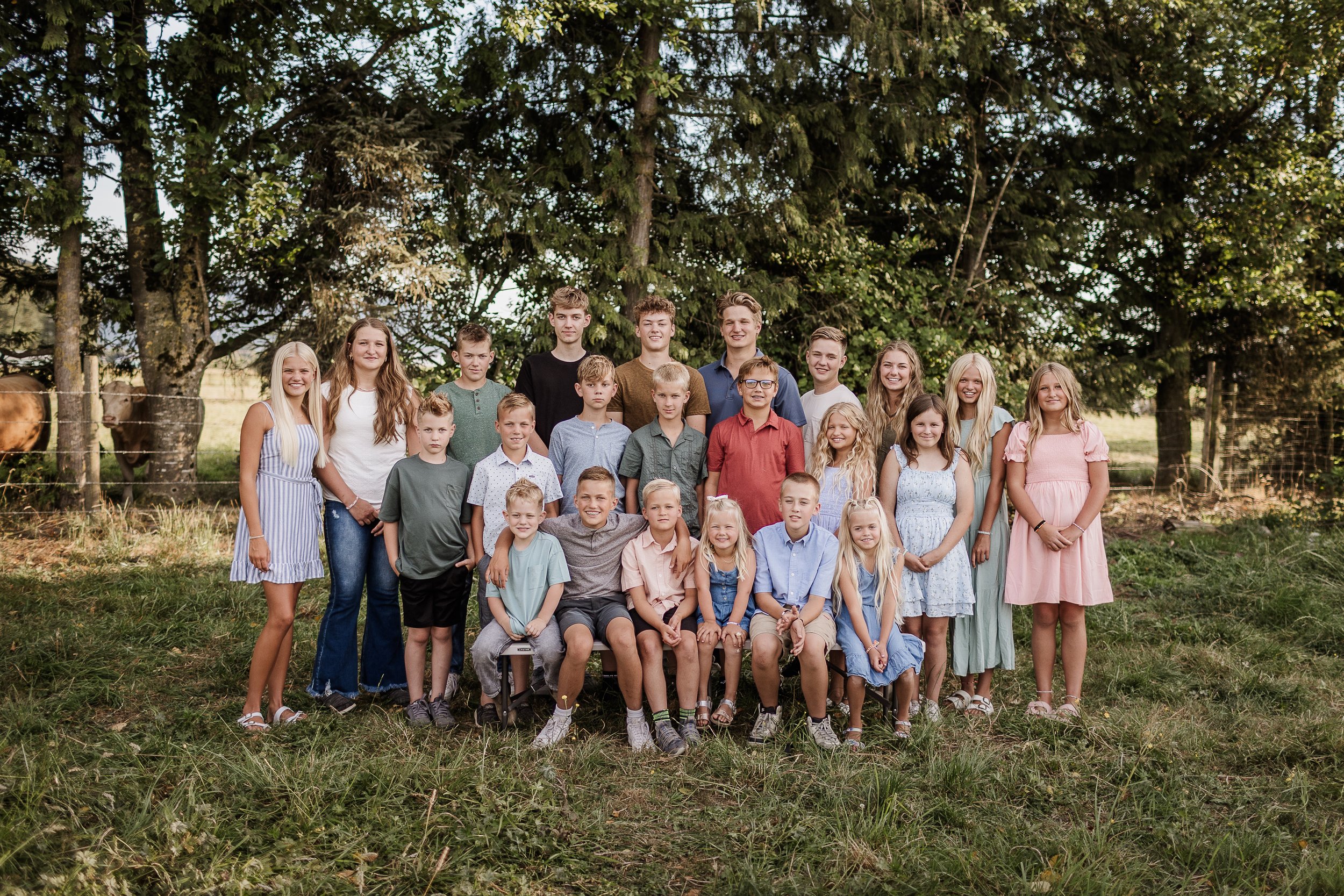 PelleboerExtended-3.jpg