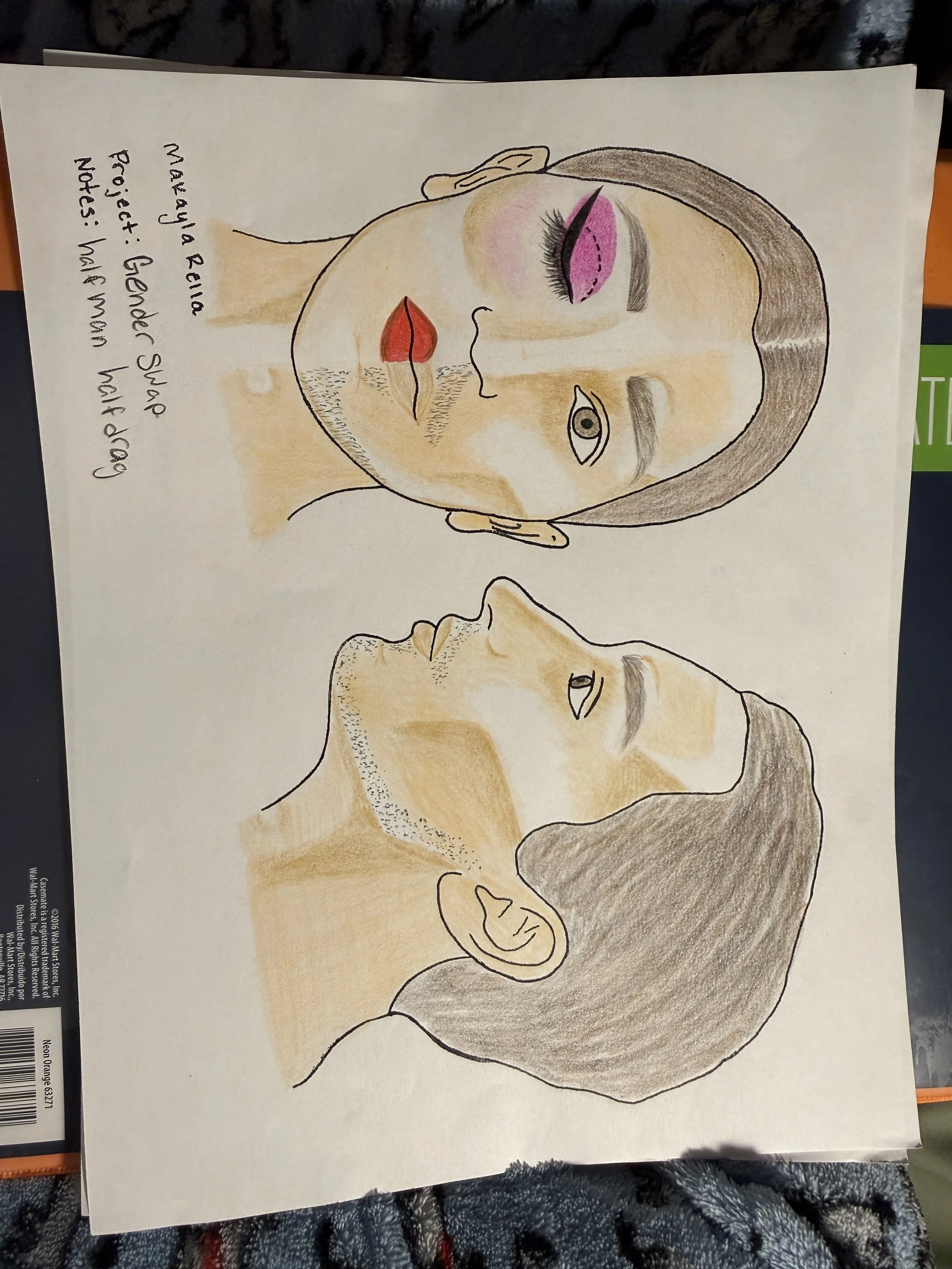 Gender Swap Schematic 1.JPG