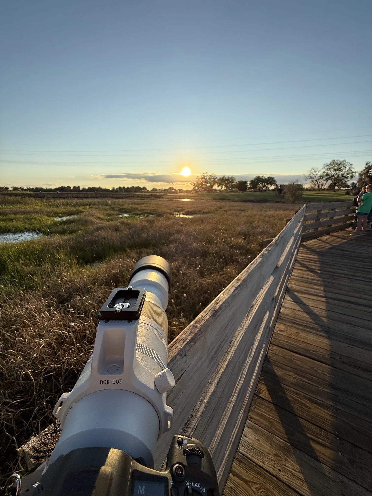 wildlife-photography-setup-telephoto-lens-wetlands.jpeg