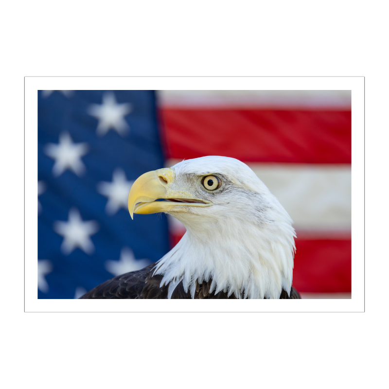 Old Glory, Older Eyes