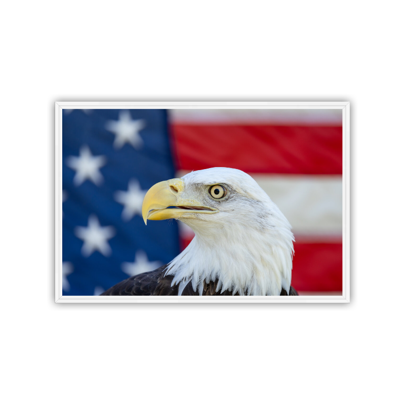 A detailed, close-up portrait of a Bald Eagle's head, highlighting its fierce golden eye and sharp yellow beak, positioned directly in front of the red, white, and blue stripes of an American flag.