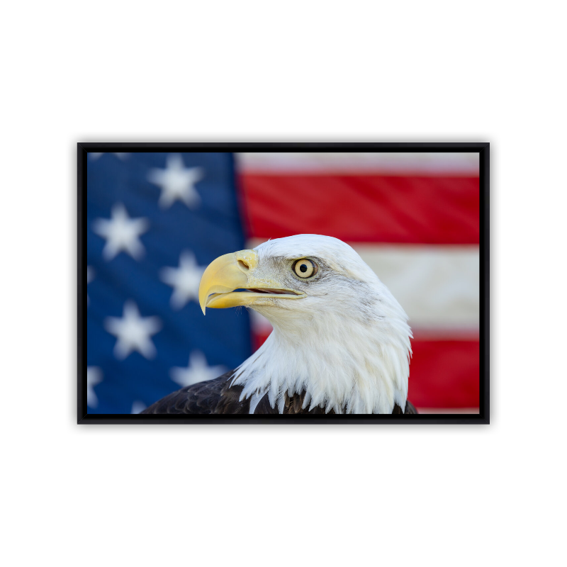 A detailed, close-up portrait of a Bald Eagle's head, highlighting its fierce golden eye and sharp yellow beak, positioned directly in front of the red, white, and blue stripes of an American flag.