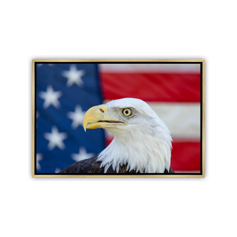 A detailed, close-up portrait of a Bald Eagle's head, highlighting its fierce golden eye and sharp yellow beak, positioned directly in front of the red, white, and blue stripes of an American flag.