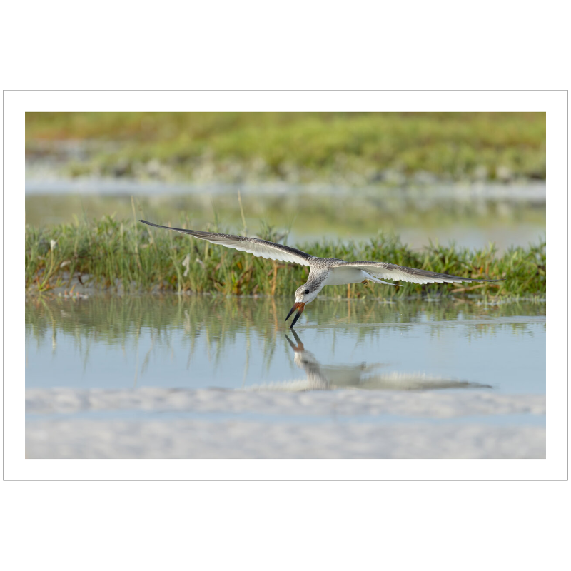 Precision in Flight