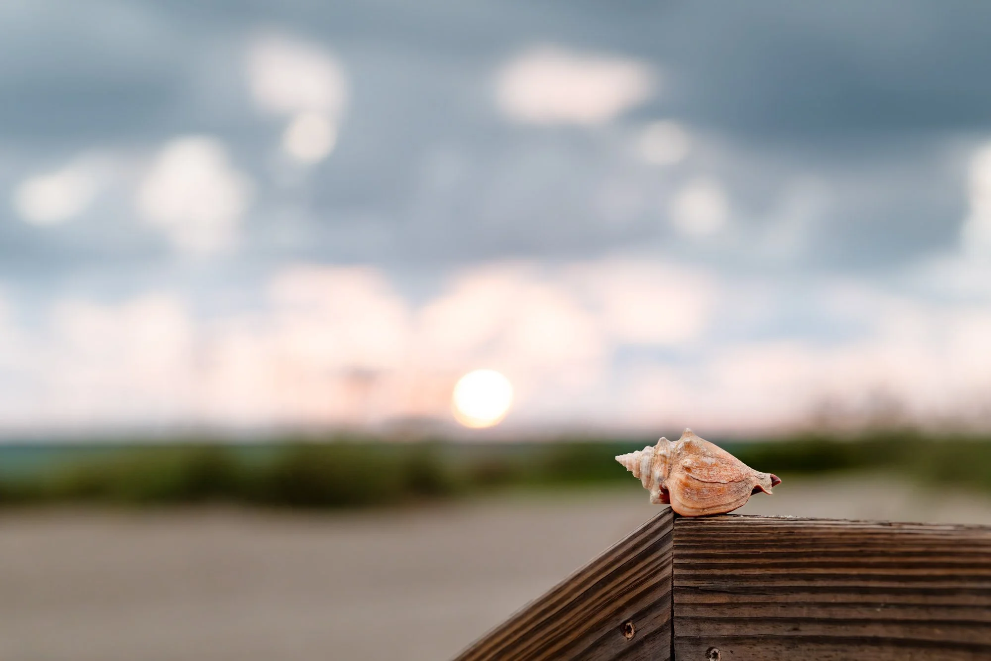 Seashell-beach-sunset-fine-art-print-florida.jpg
