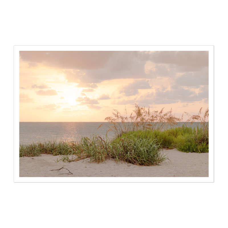A peaceful beach sunset scene looking across sandy dunes covered in wild sea oats toward a calm ocean and a soft, glowing sky on the horizon.