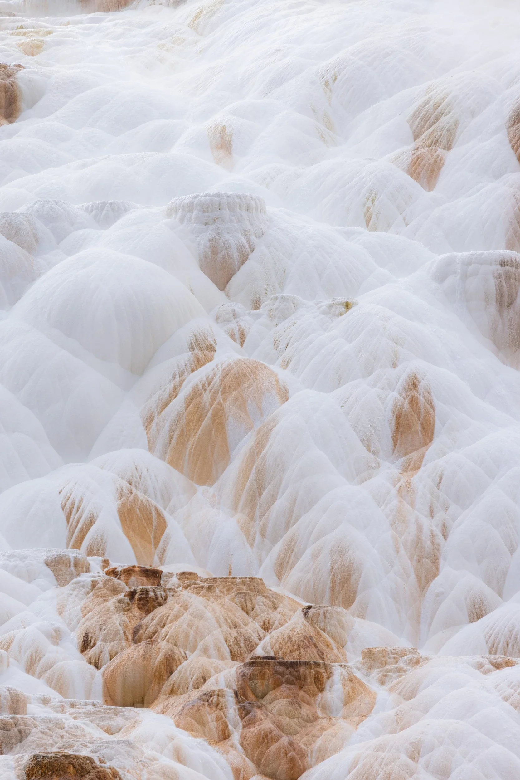  A close-up, vertical shot of intricate travertine terraces with white and tan mineral crusts and trickling water.