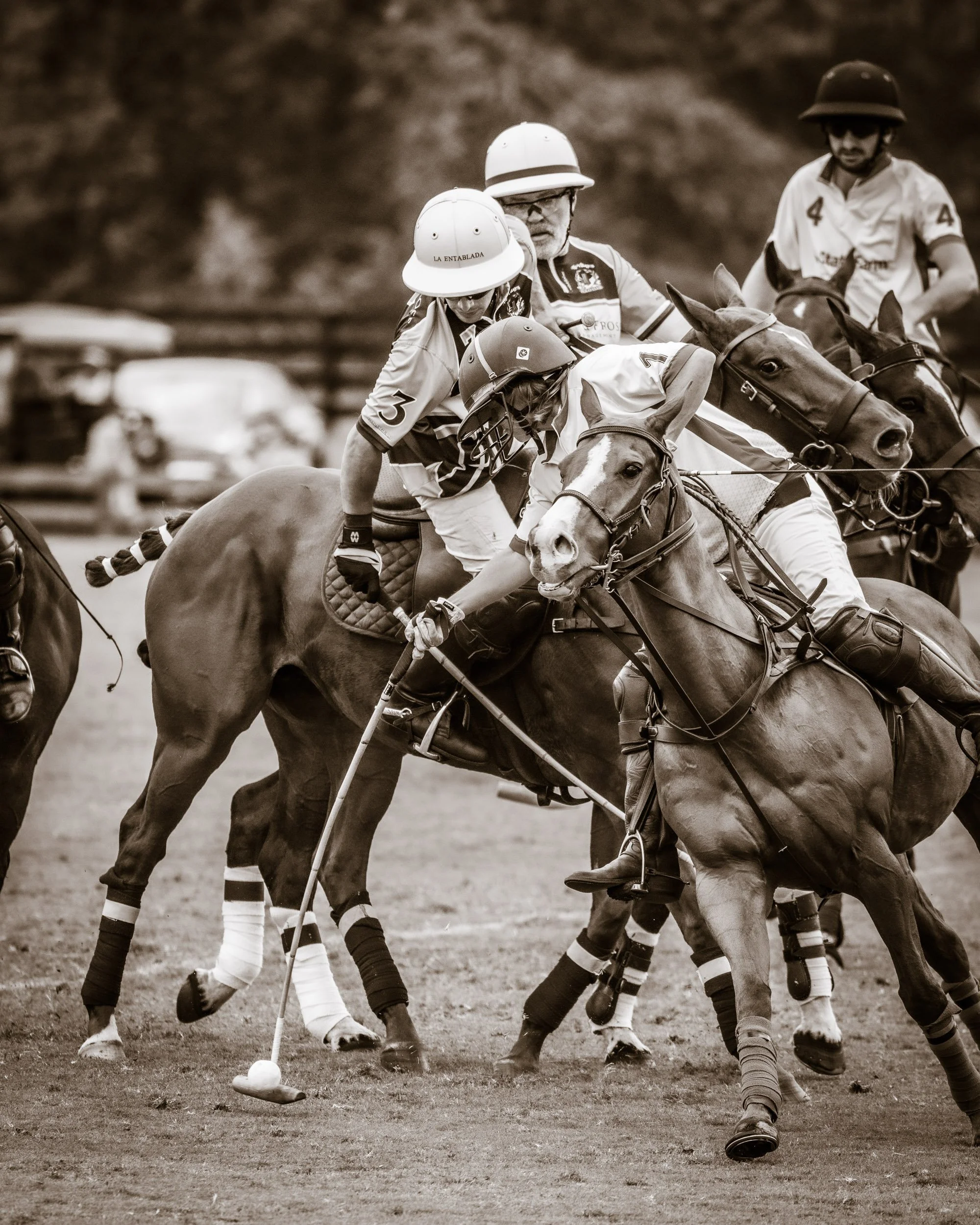 vintage-sepia-polo-match-action-photography.jpg