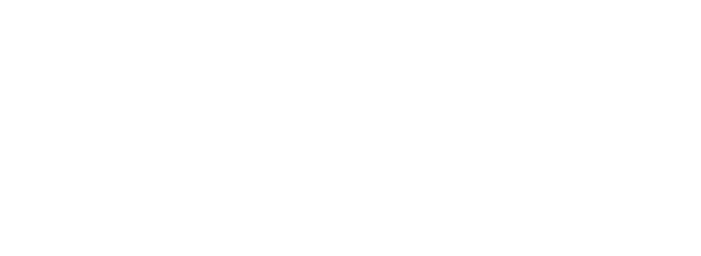 Grupo Fiesta