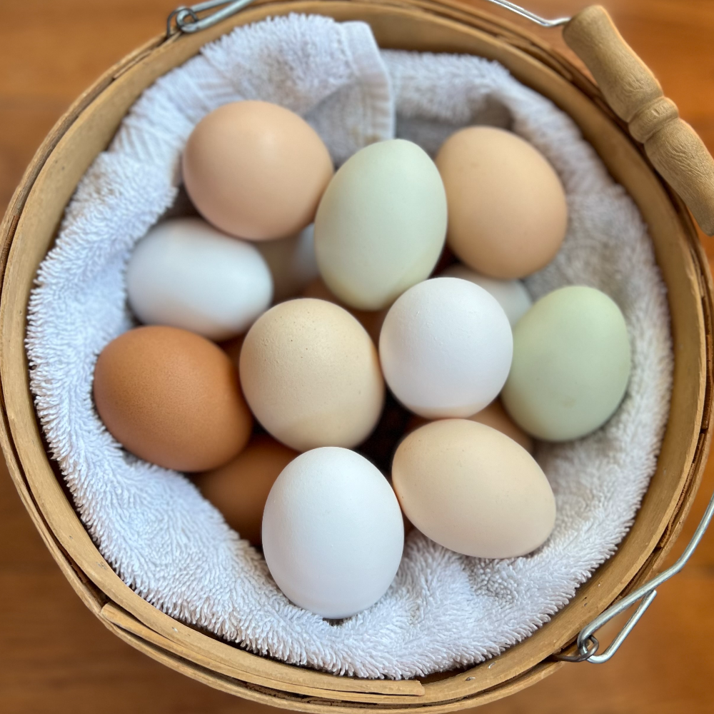 STF eggs.jpg.png
