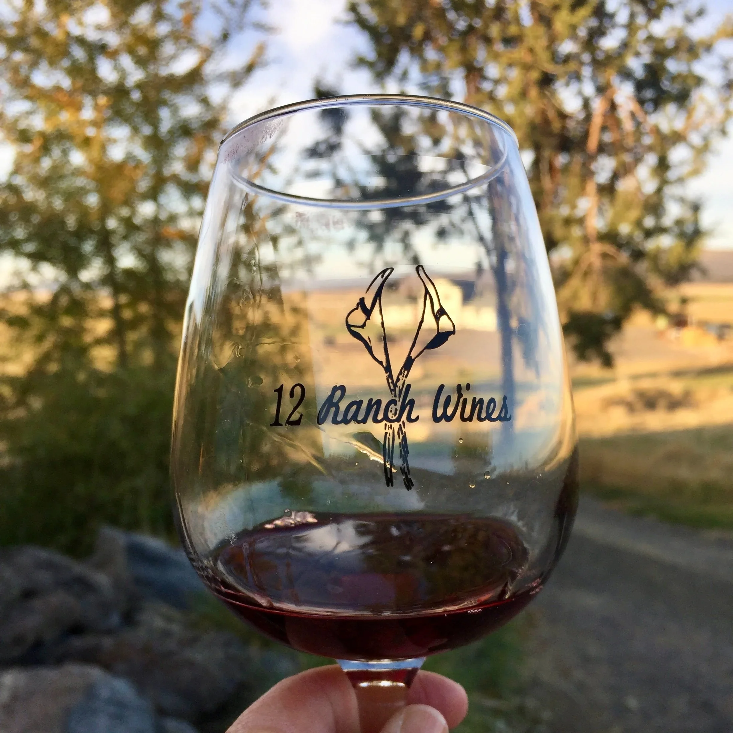 Bonanza+12+ranch+wines-1.jpg.webp