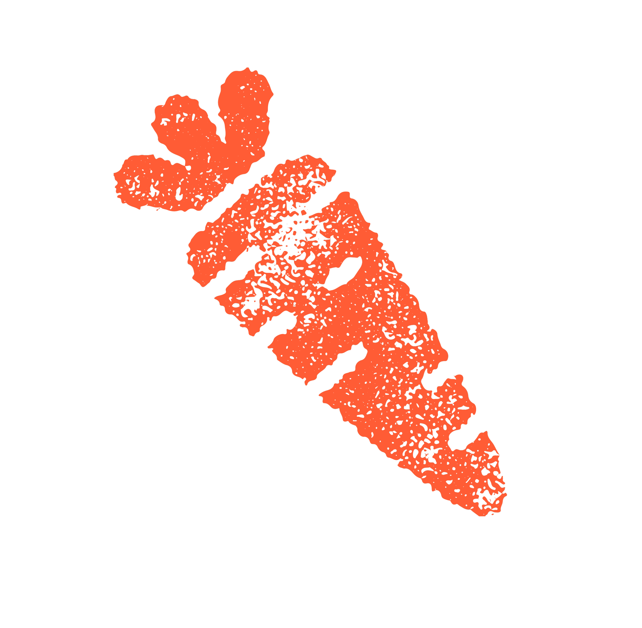 Stylized graphic of a red-orange fish, resembling a trout, on a black background.