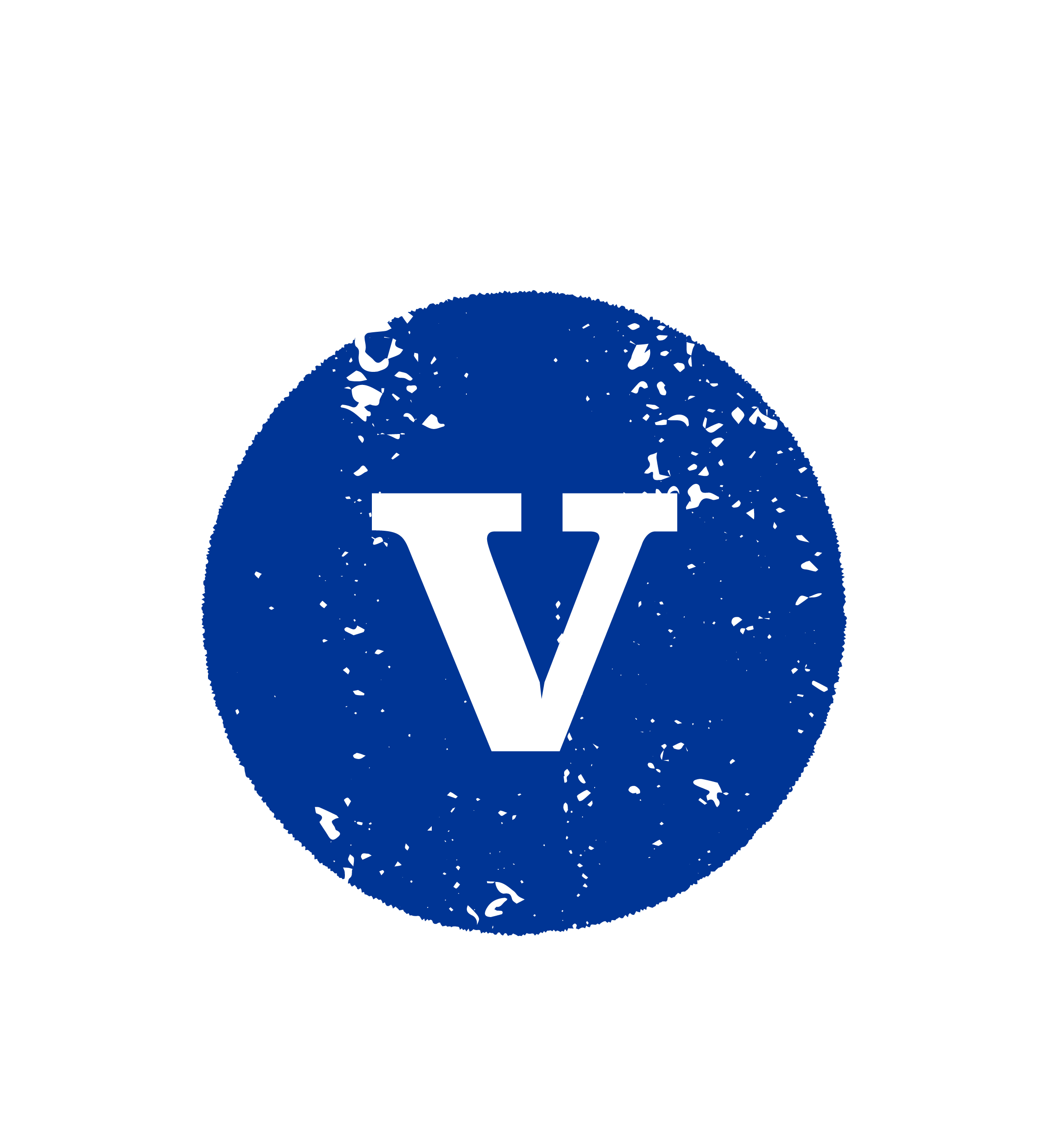 A black background with a blue circle featuring black speckles and a white letter "V" in the center.