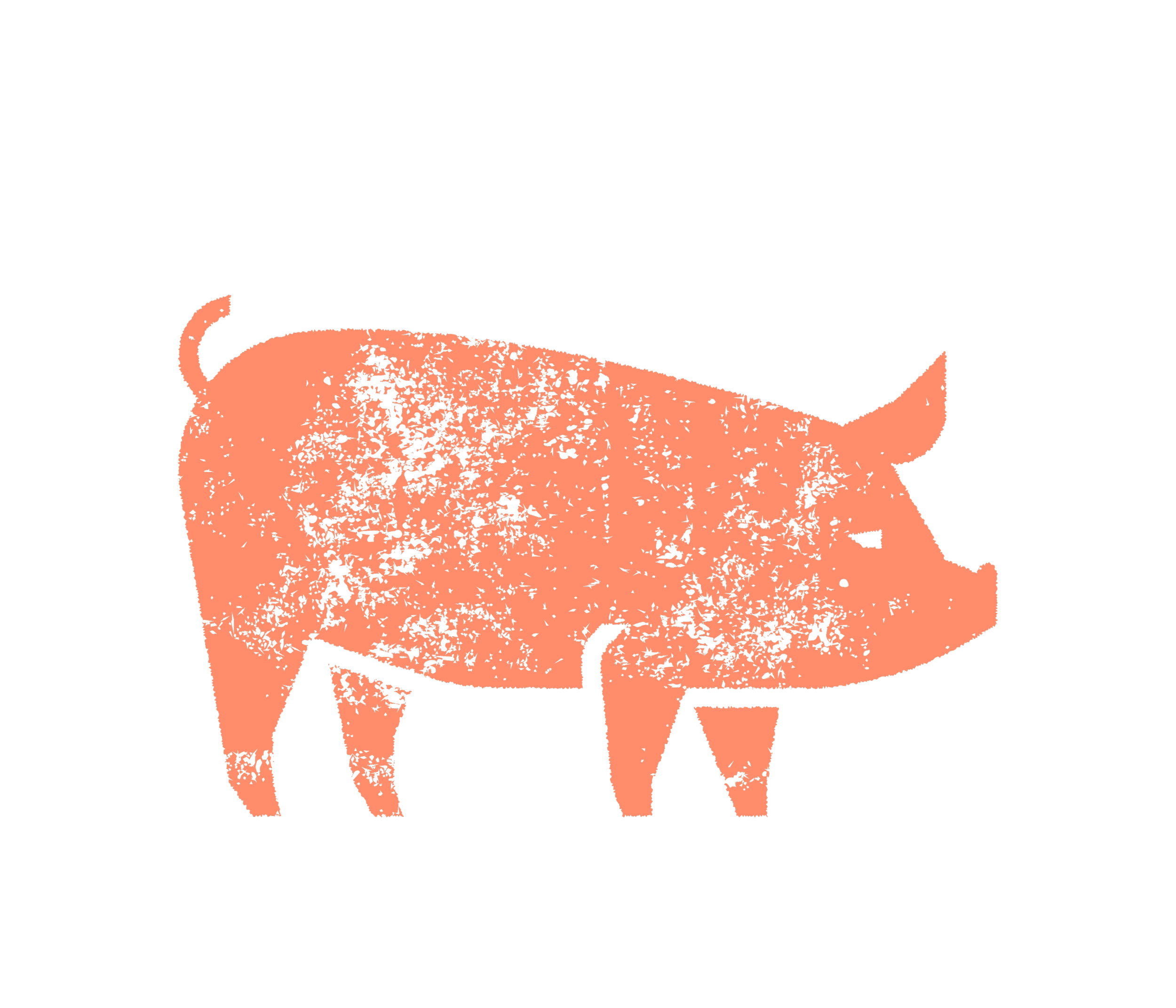 A stylized, distressed illustration of a pig in a peach color on a black background.