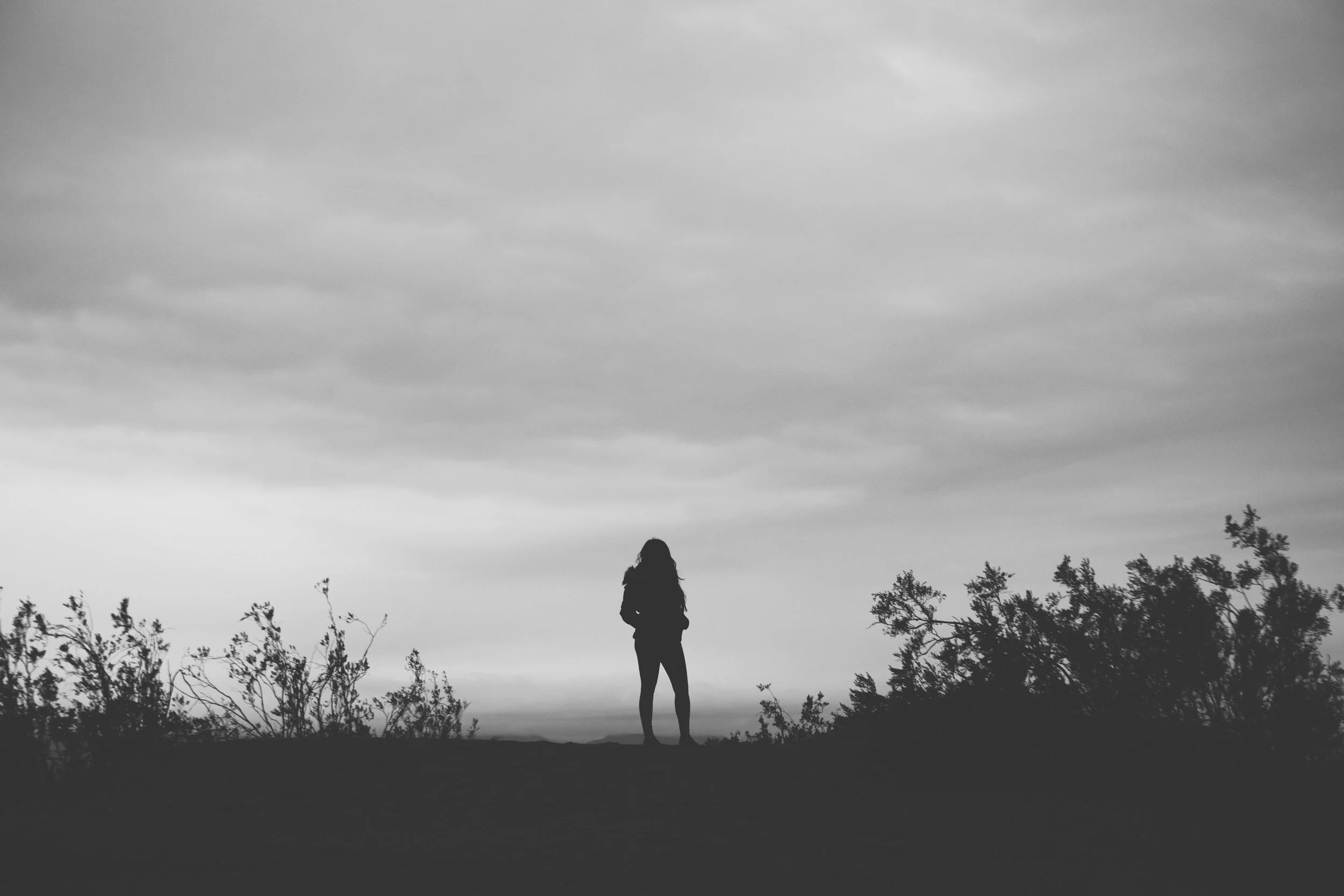 Silhouette of a person standing on a hilltop with trees in the foreground and a cloudy sky in the background.