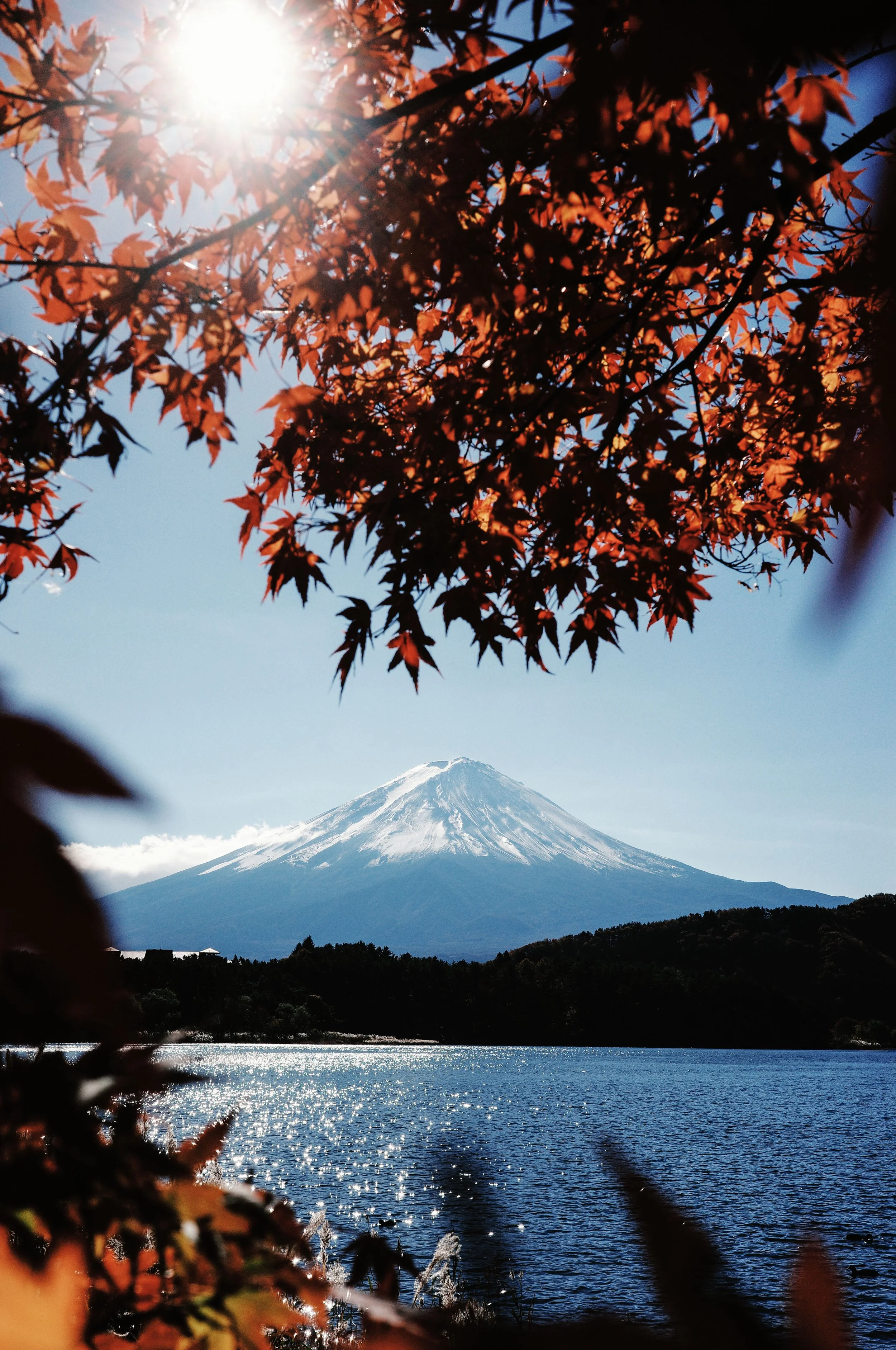 Mount Fuji snow-capped mountain in background with red autumn leaves and a body of water in the foreground, sunlight shining through leaves.
