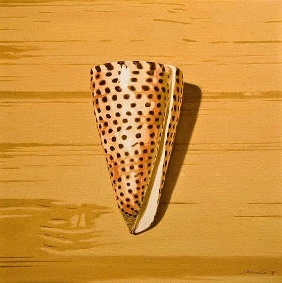 
Conus Spiral

Oil on Canvas

18" X 18" • 2008
