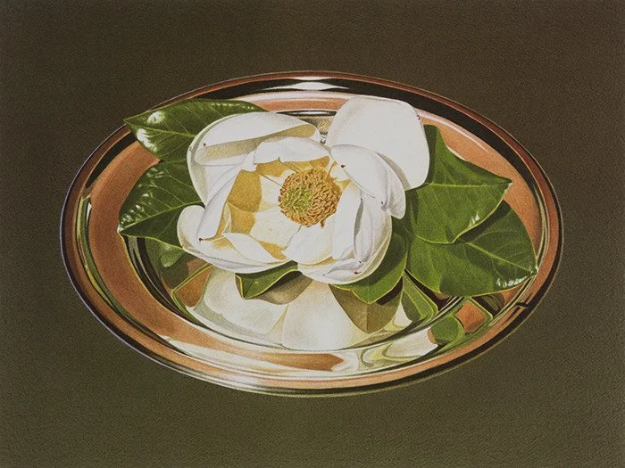 
Magnolia
16 Color Hand Drawn & Pulled Lithograph • Edition of 100

12" X 16" • 1996