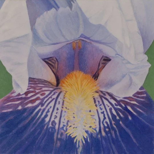 Wisdom. 7" X 7", watercolor, 2014