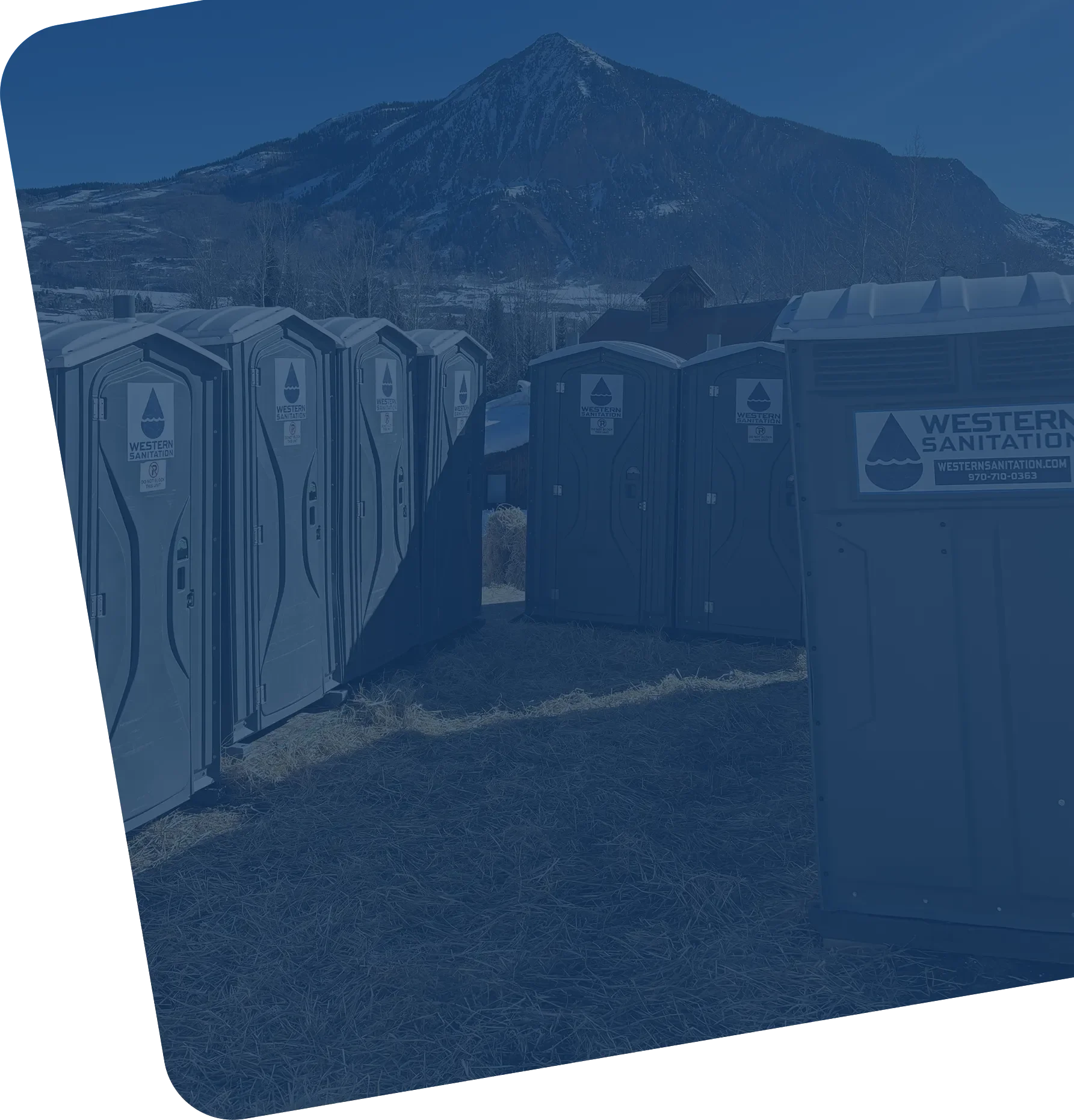 A row of portable toilets with a mountain in the background.