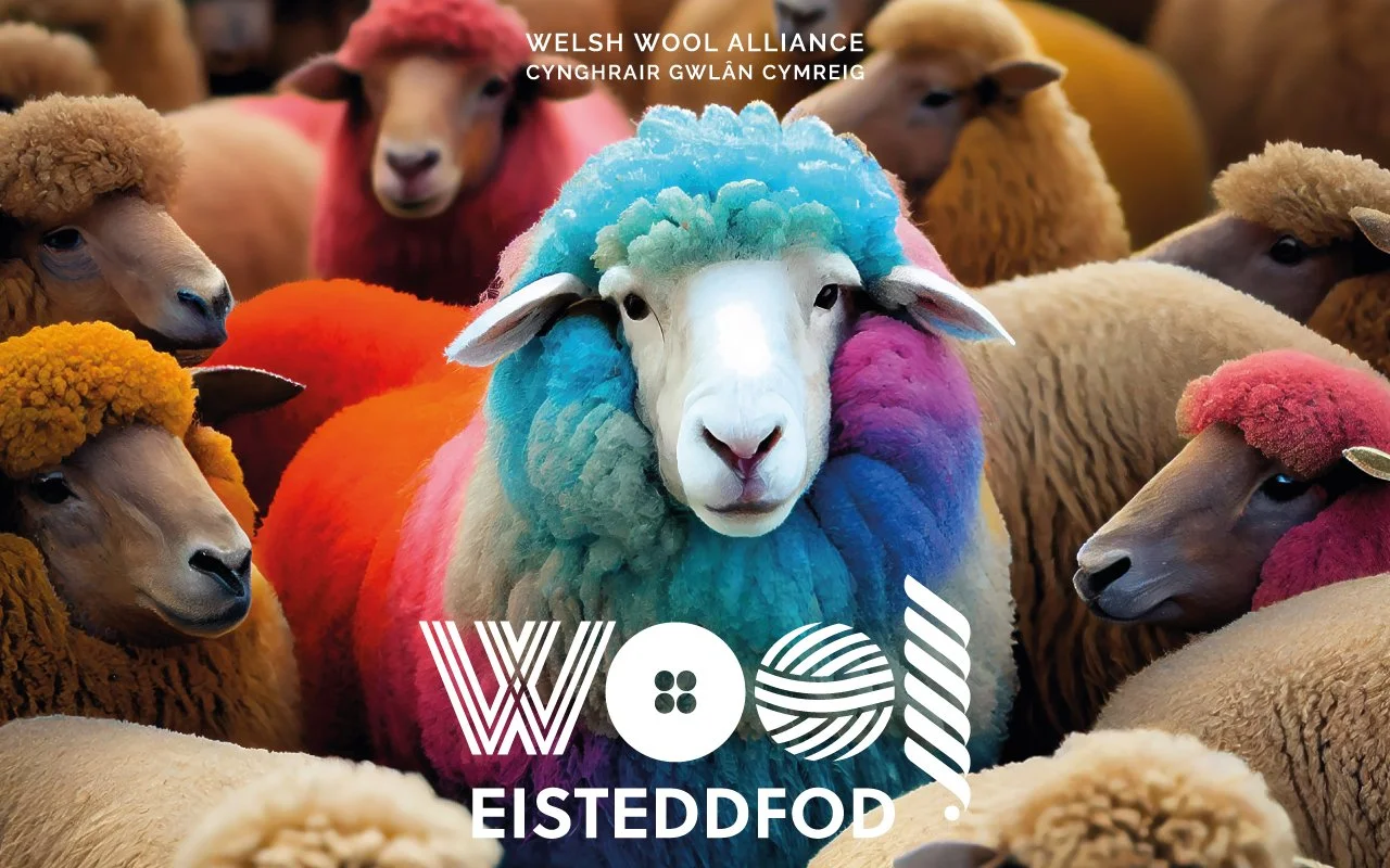 A herd of sheep with one sheep in the center decorated with multicolored wool, surrounded by individuals from the Welsh Wool Alliance, with focus on the colorful sheep in a farm setting.