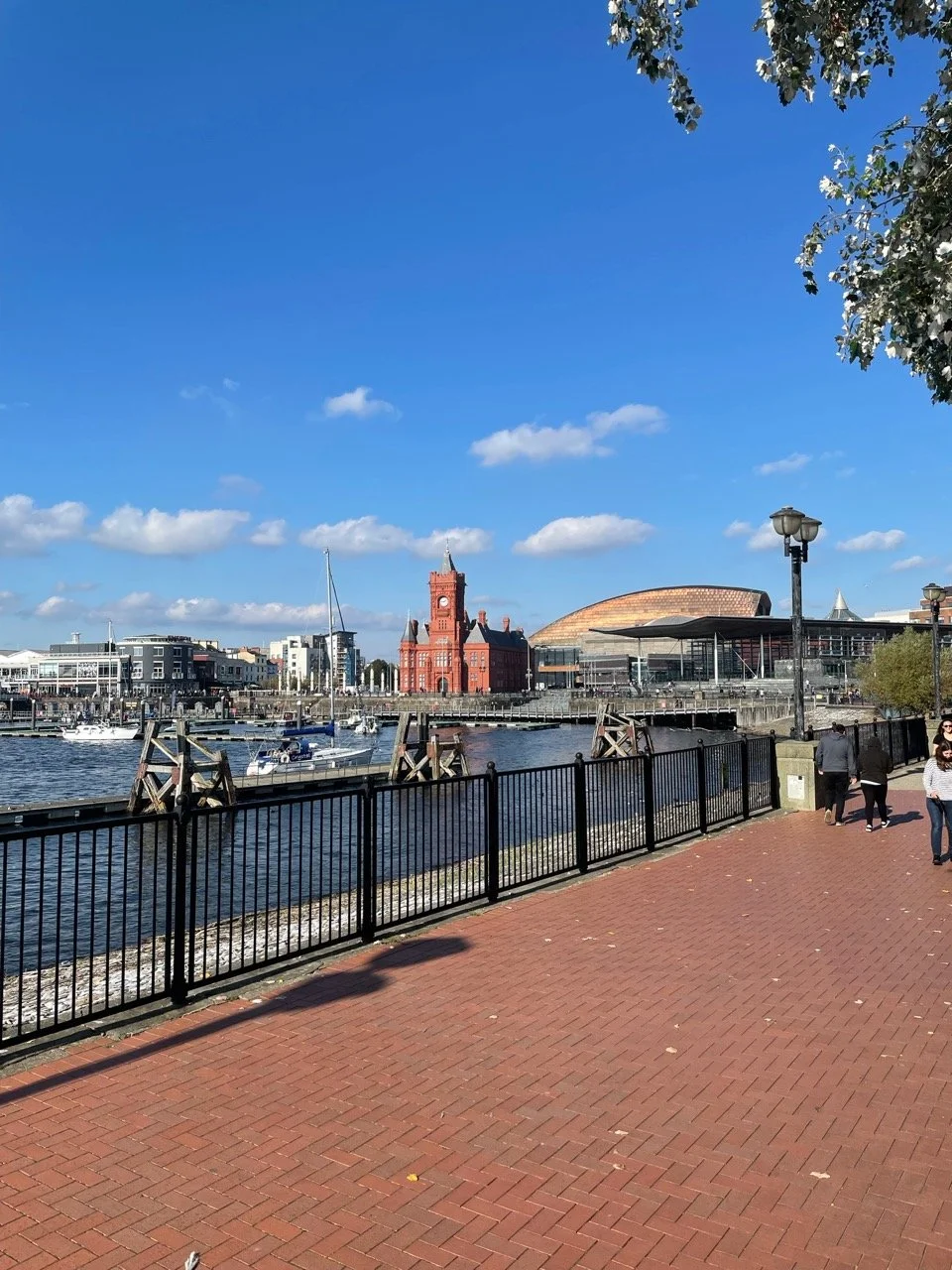View of a waterfront with boats docked, historic red brick building with a clock tower, modern arena, sidewalk with people walking, and a black metal fence under a blue sky with scattered clouds.