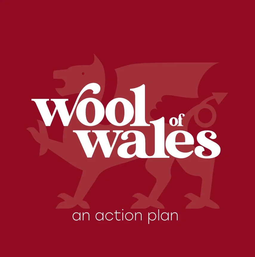 Cover of a report titled 'Wool of Wales: An Action Plan' with a red background and a stylized Welsh dragon in the background.