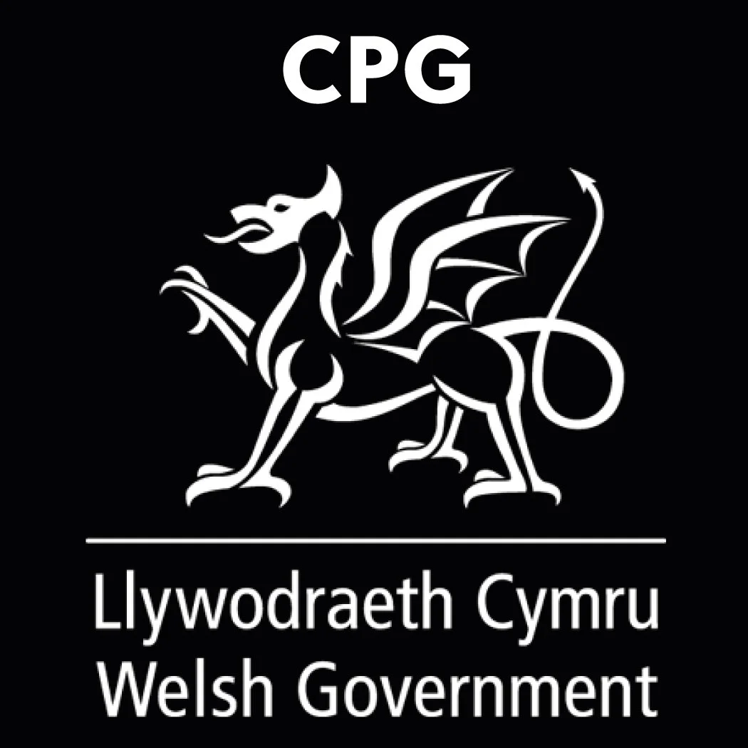 Logo of the Welsh Government, featuring a stylized white dragon on a black background with the words 'Cymru' and 'Welsh Government' in both Welsh and English.