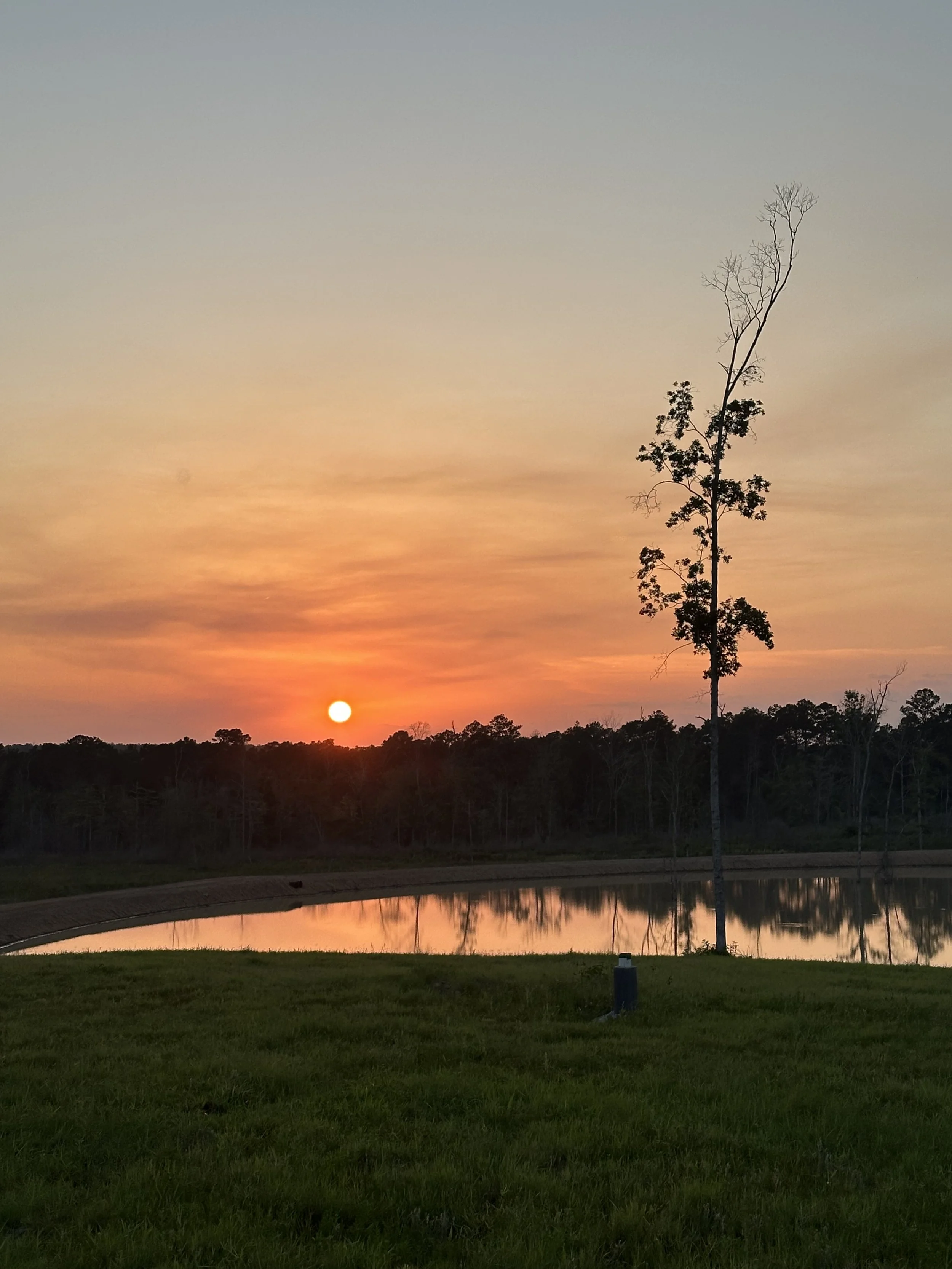Sunset over a pond with trees and grassy area in foreground