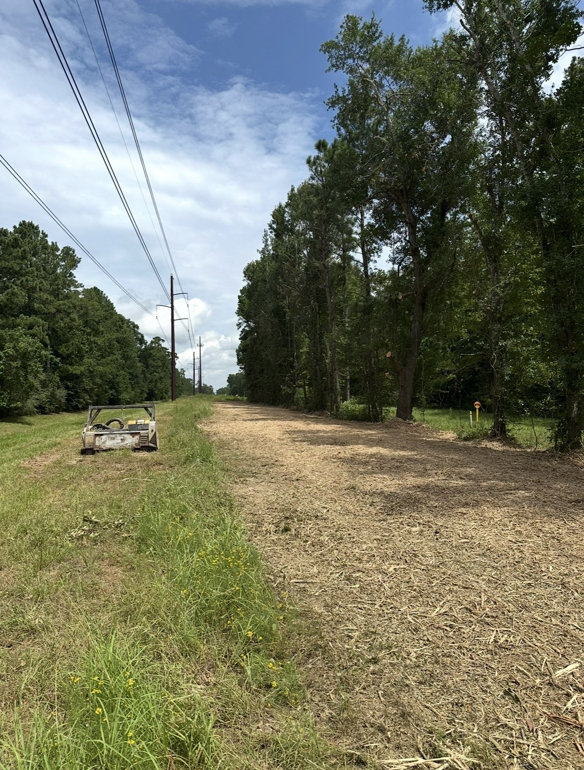 A dirt and grass road running through a rural area with trees on both sides and power lines overhead on a partly cloudy day.