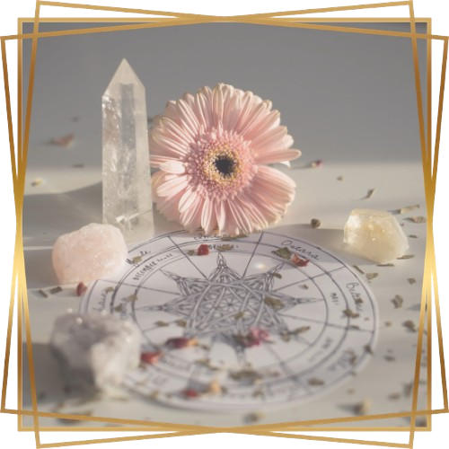 Mindfulness Holistic Based Therapy Icon Gerber Daisy and Crystal Zodiac Chart Aesthetic
