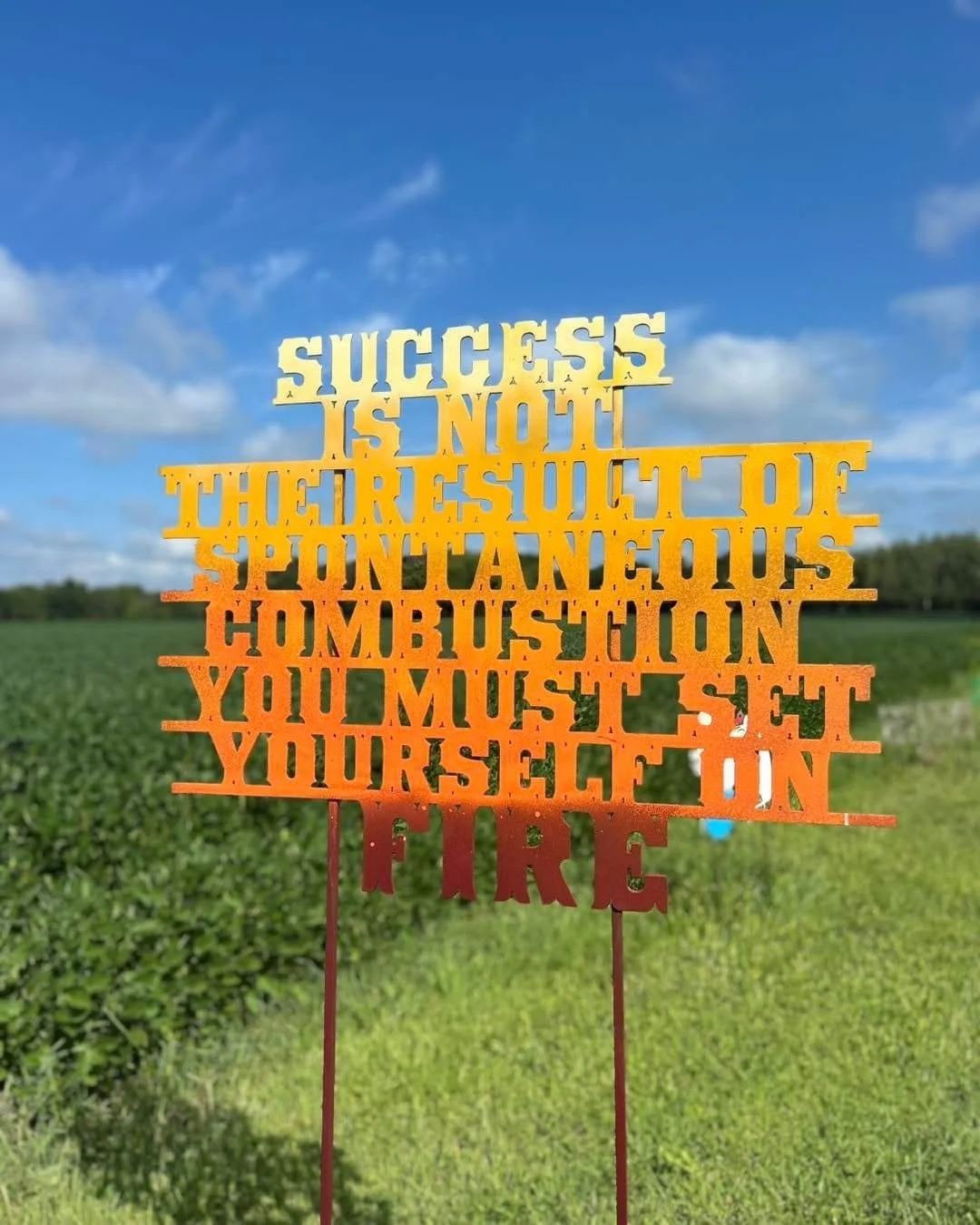Colorful sign with a quote about success and choosing fire, set in a green field with trees in the background and a partly cloudy sky.