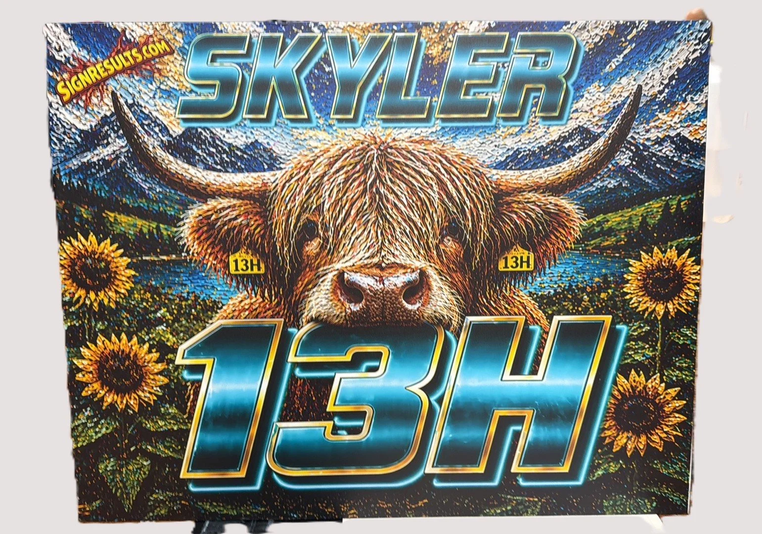 Demo Derby roof sign