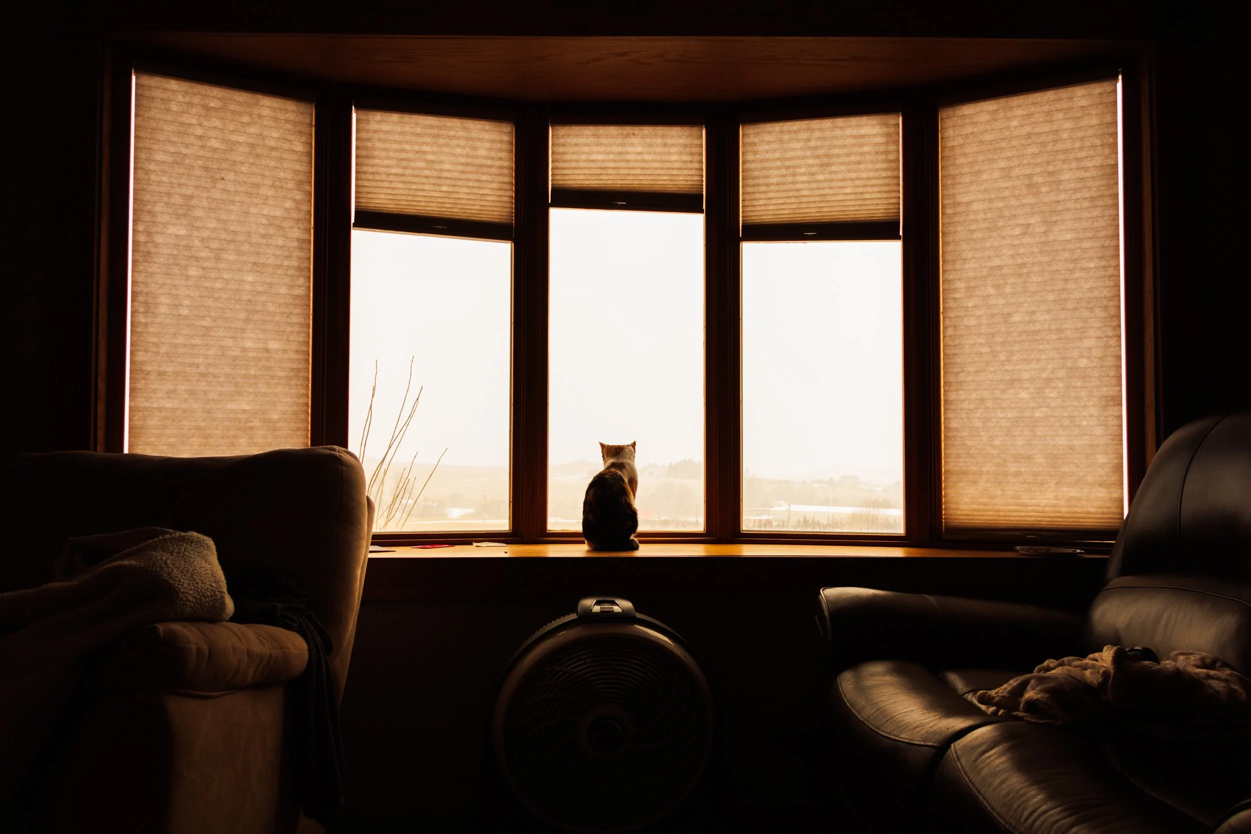 house-home-10.jpg