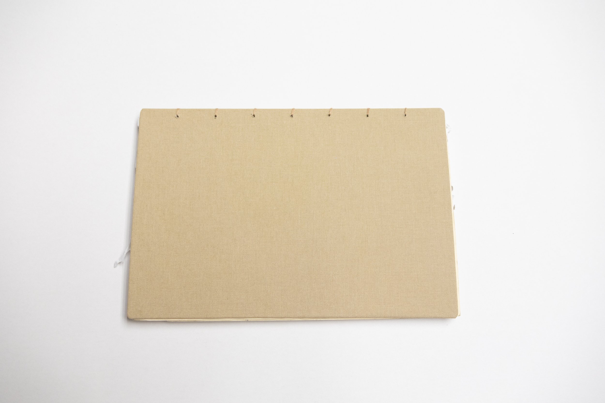 alt-book-01.jpg
