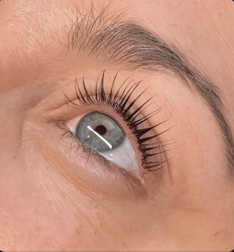 Lash and brow services at Studio Iris Bradenton FL