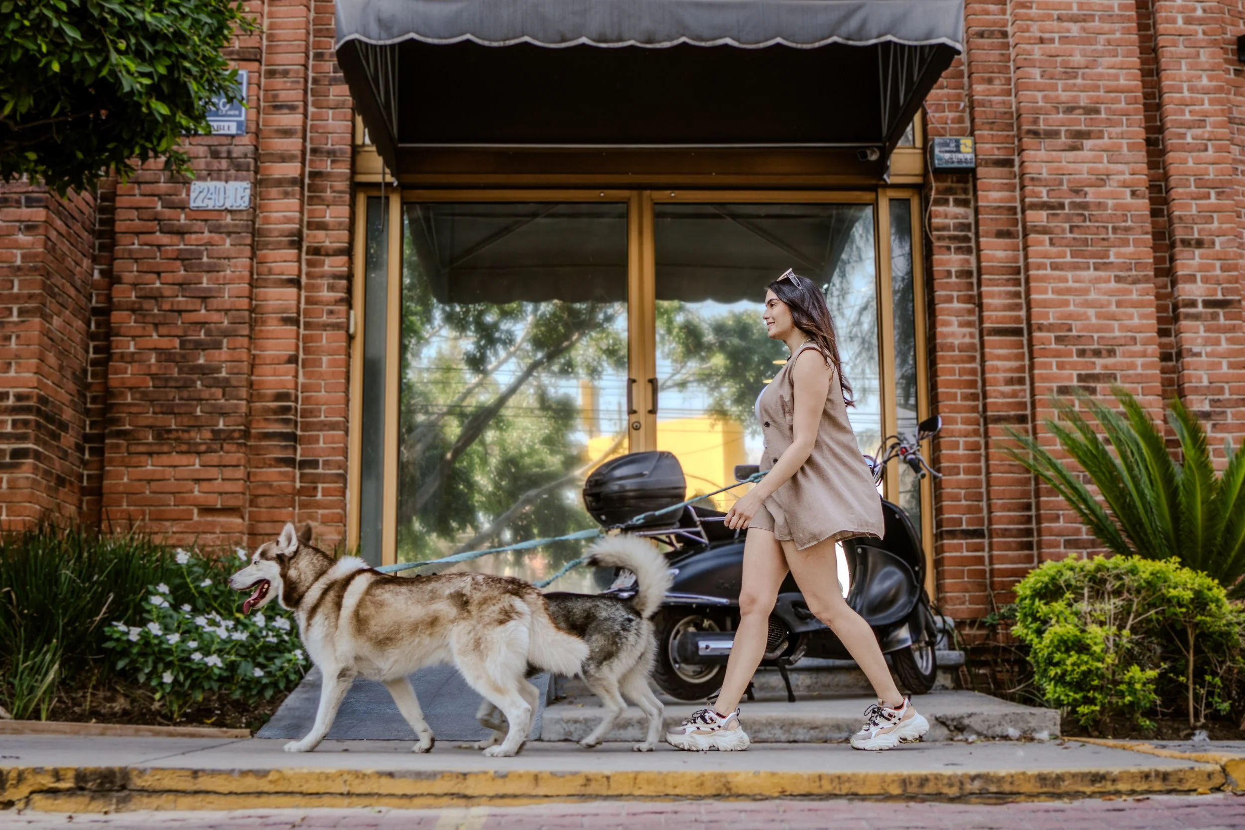 Accesorios para mascota