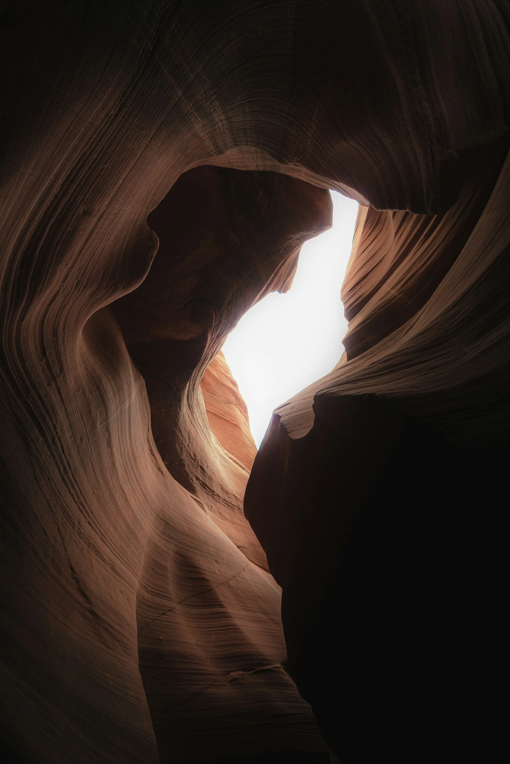 Looking up into the narrow, winding walls of a slot canyon with light coming from above.